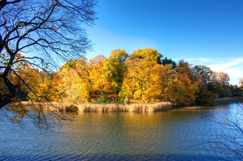 Stockholm-autumn
